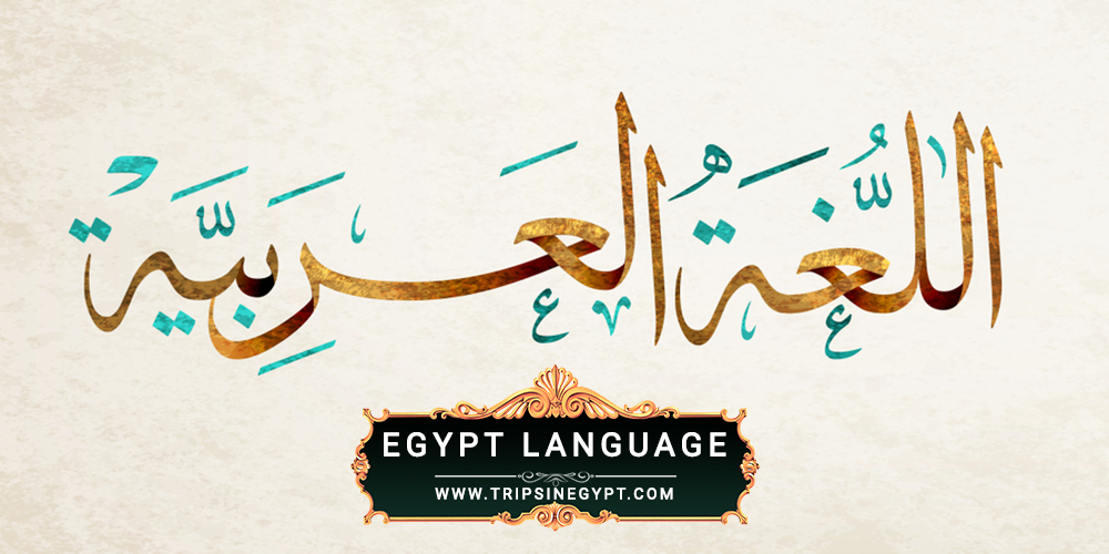 Egypt Language - Egypt Culture and Traditions - Trips in Egypt