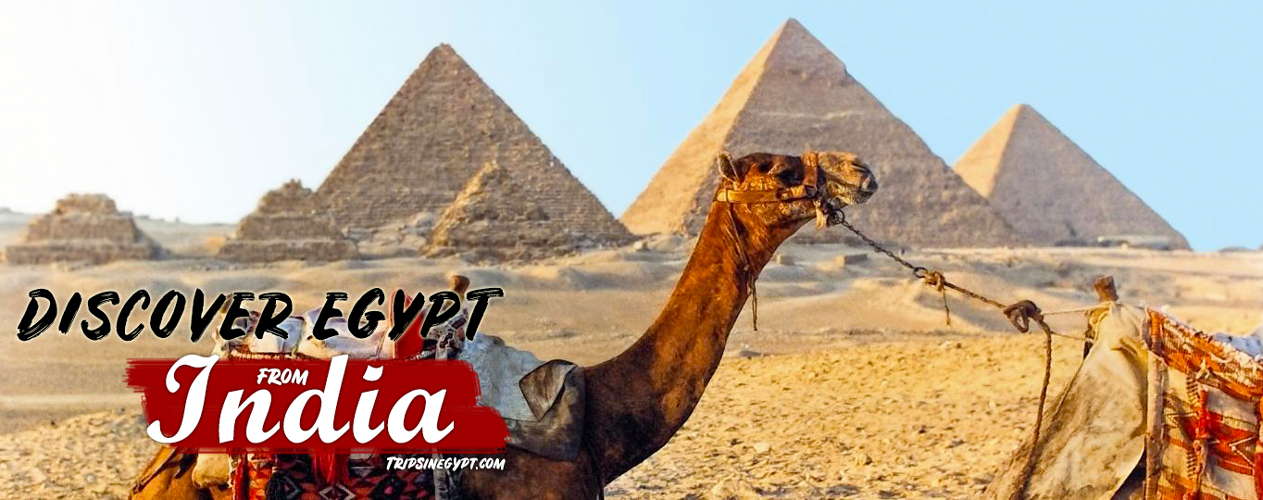 trip from india to egypt