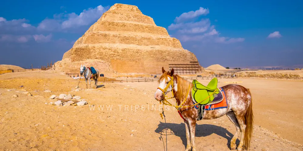 Saqqara Pyramid - 25 Things to Do in Cairo - Trips in Egypt
