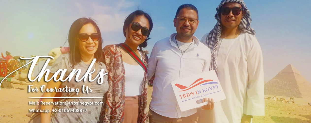 Contact Us - Trips in Egypt
