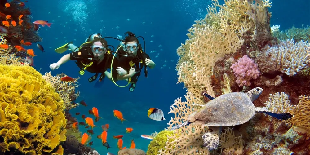 Extraordinary 18 Things to Do in El Gouna Day & Night - Trips in Egypt