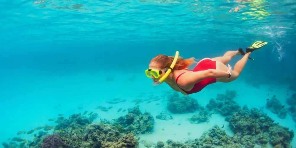 Snorkeling Trip From El Gouna