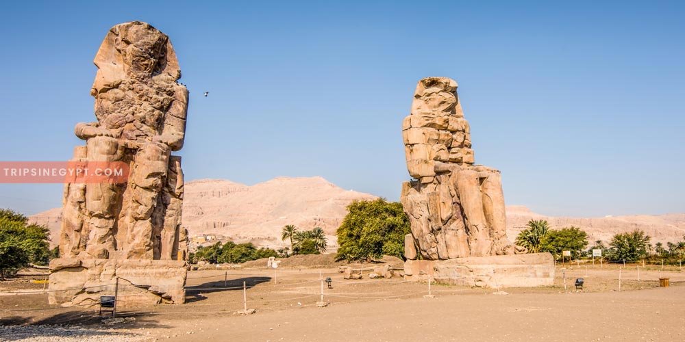 Colossi of Memnon Gallery – Trips in Egypt