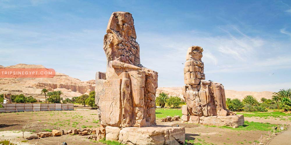 Colossi of Memnon Gallery – Trips in Egypt