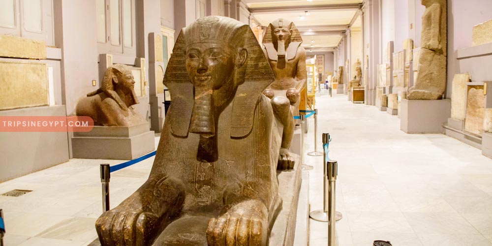 The Egyptian Museum Gallery – Trips in Egypt