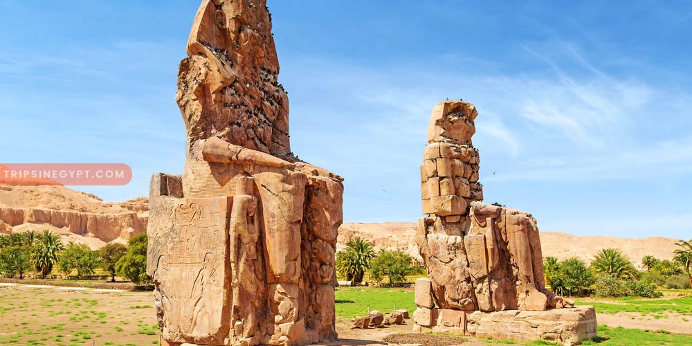 Colossi of Memnon Gallery – Trips in Egypt