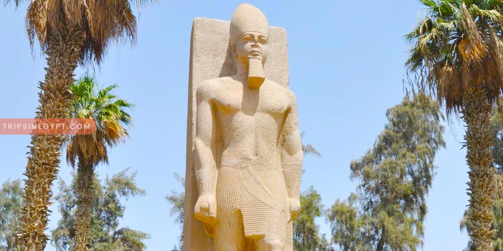 Memphis Egypt City Gallery – Trips in Egypt