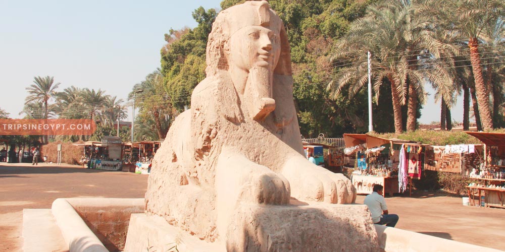 Memphis Egypt City Gallery – Trips in Egypt