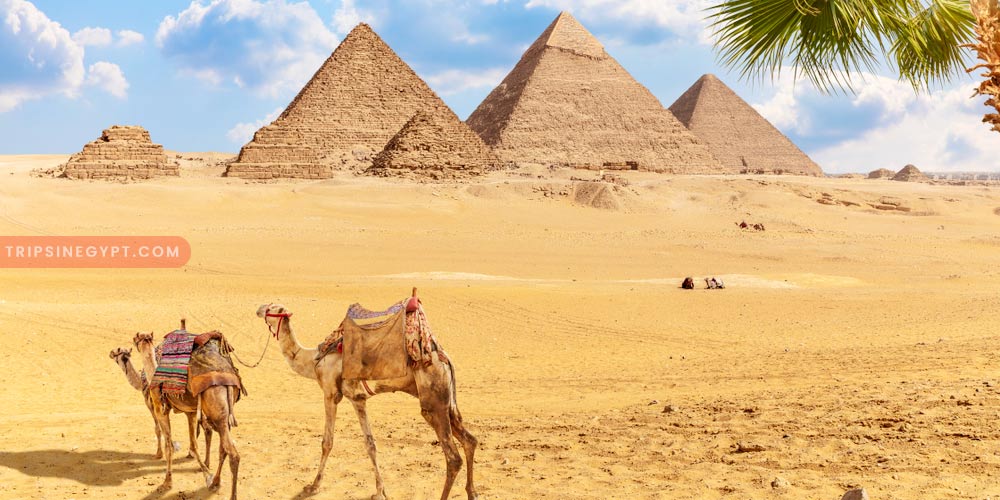 Giza Pyramids Gallery – Trips in Egypt