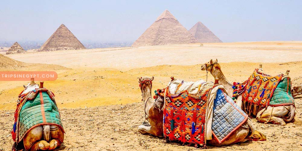 Giza Pyramids Gallery – Trips in Egypt
