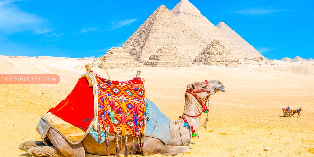 Giza Pyramids Gallery – Trips in Egypt