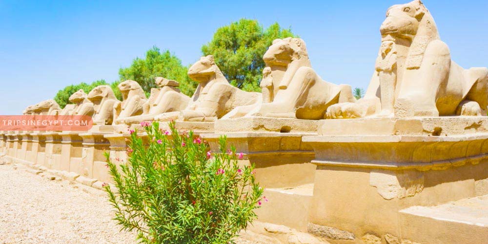 Karnak Temple Gallery – Trips in Egypt