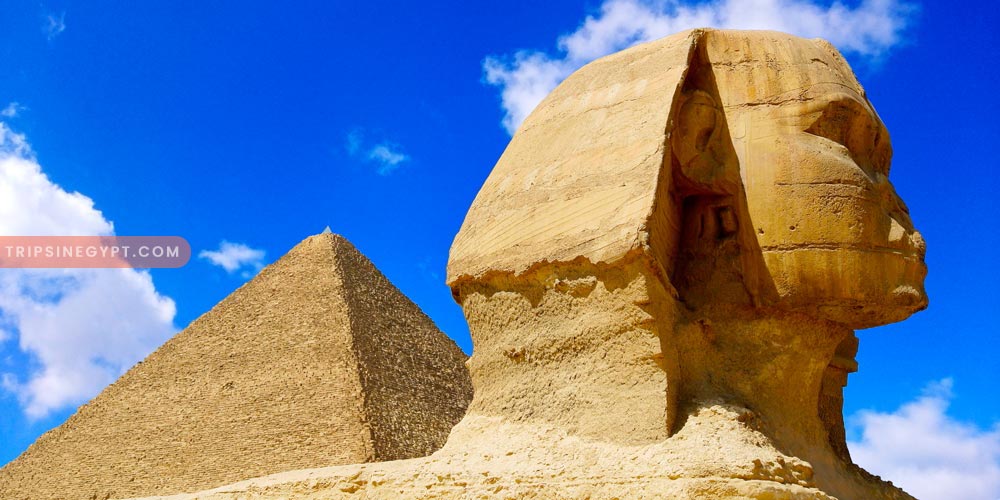 The Sphinx Gallery – Trips in Egypt