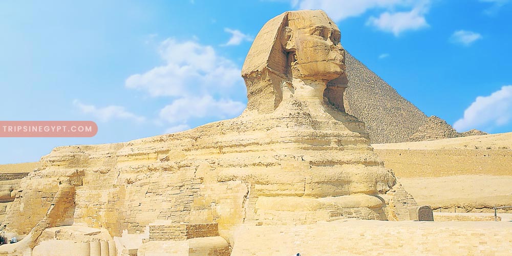 The Sphinx Gallery – Trips in Egypt