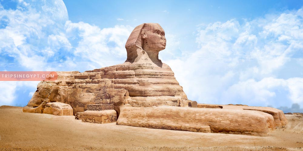 The Sphinx Gallery – Trips in Egypt