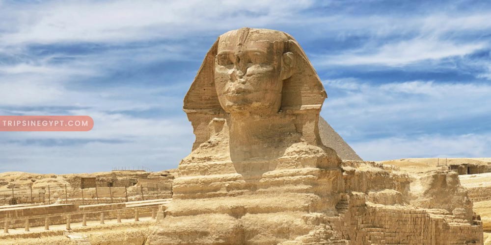 The Sphinx Gallery – Trips in Egypt