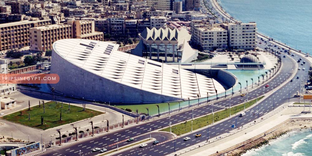 Alexandria Library Gallery – Trips in Egypt