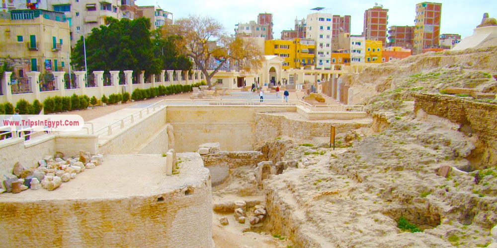 Alexandria Serapeum - Things to Do in Alexandria - Trips in Egypt