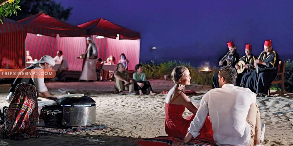 Safari Gallery – Trips in Egypt