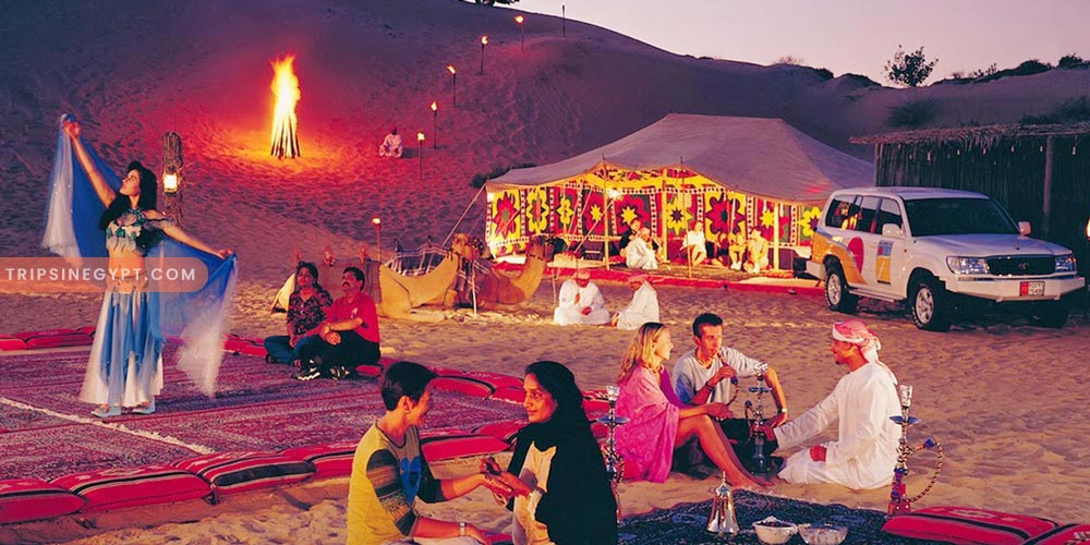 Safari Gallery – Trips in Egypt