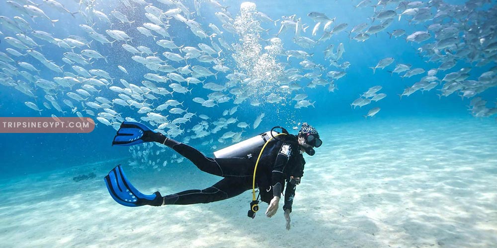 Diving – Trips in Egypt