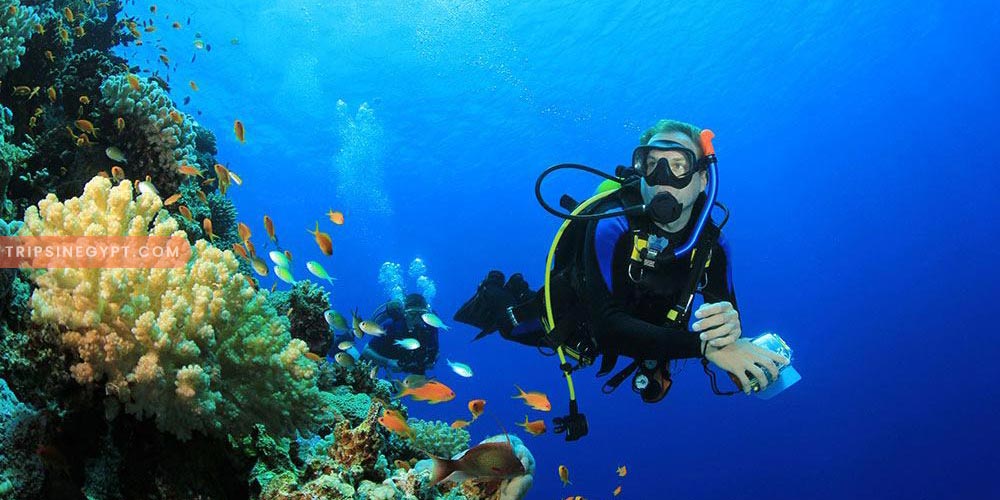 Diving – Trips in Egypt