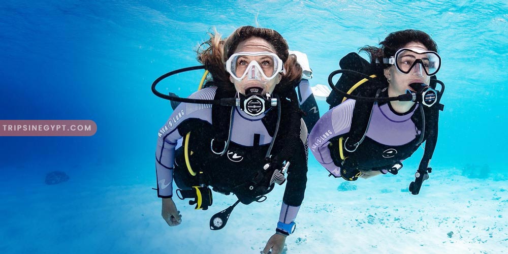 Diving – Trips in Egypt