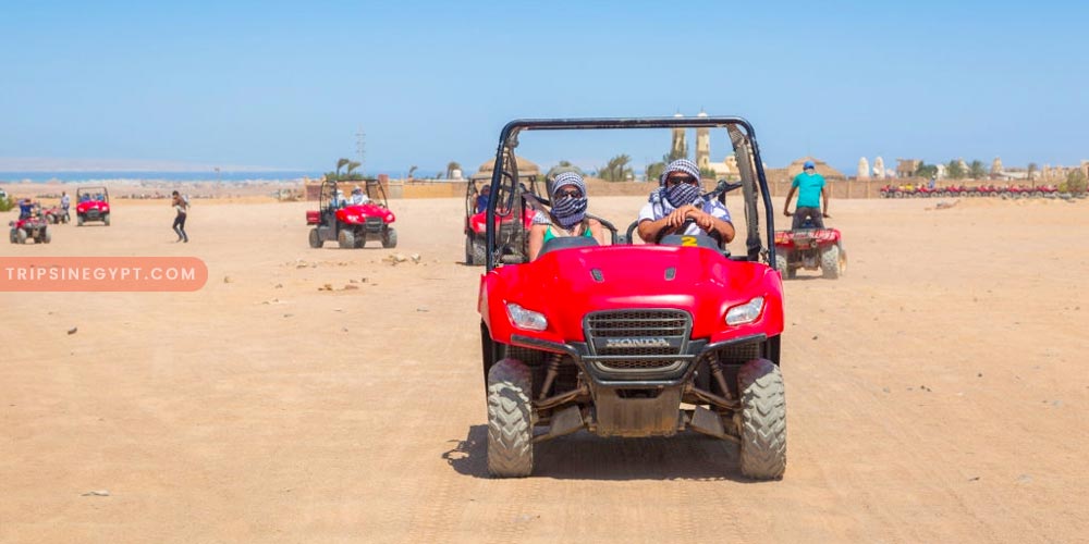 Safari Gallery – Trips in Egypt