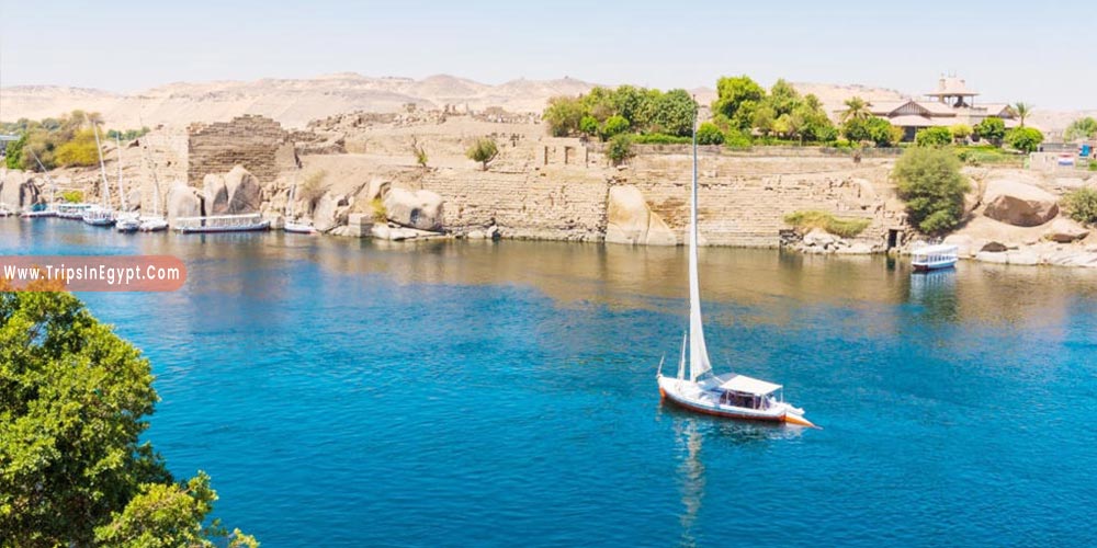 Nile River - Reasons to Visit Egypt - Trips in Egypt