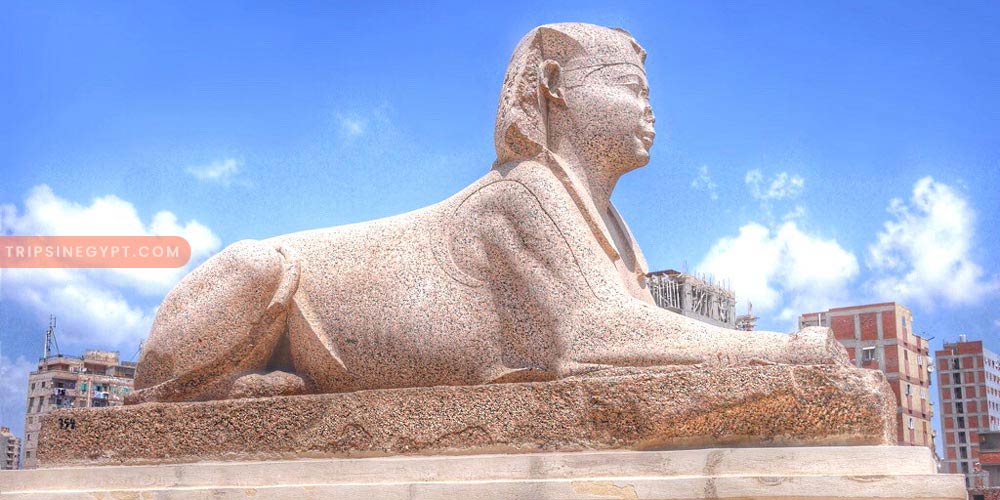 Pompey’s Pillar Gallery – Trips in Egypr