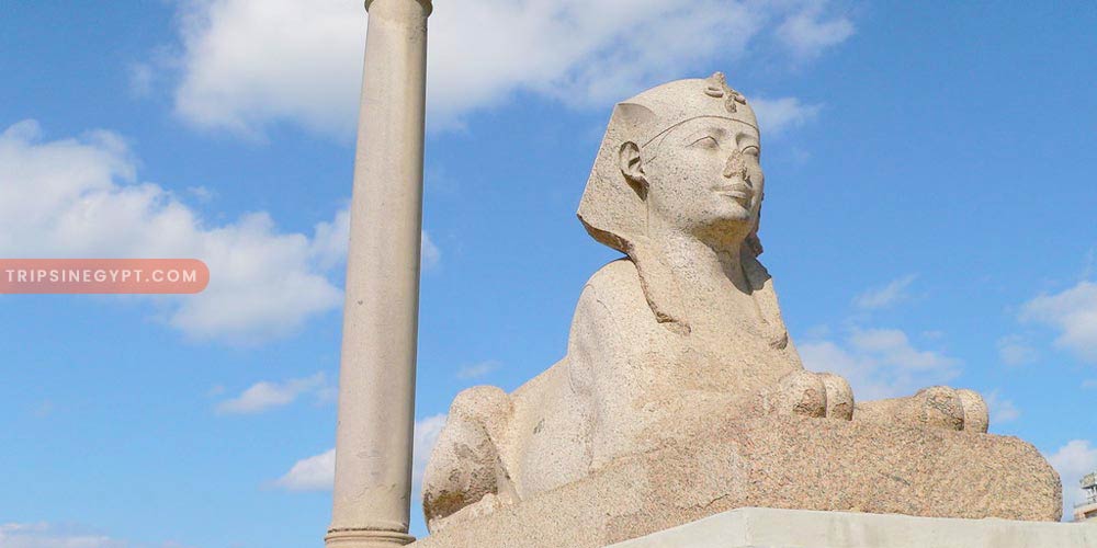 Pompey’s Pillar Gallery – Trips in Egypt