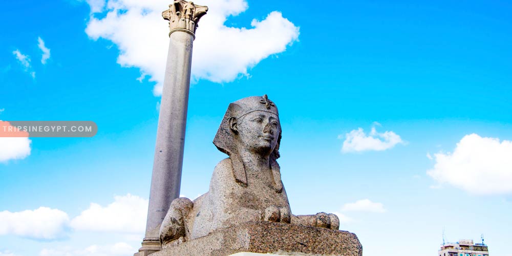 Pompey’s Pillar Gallery – Trips in Egypr