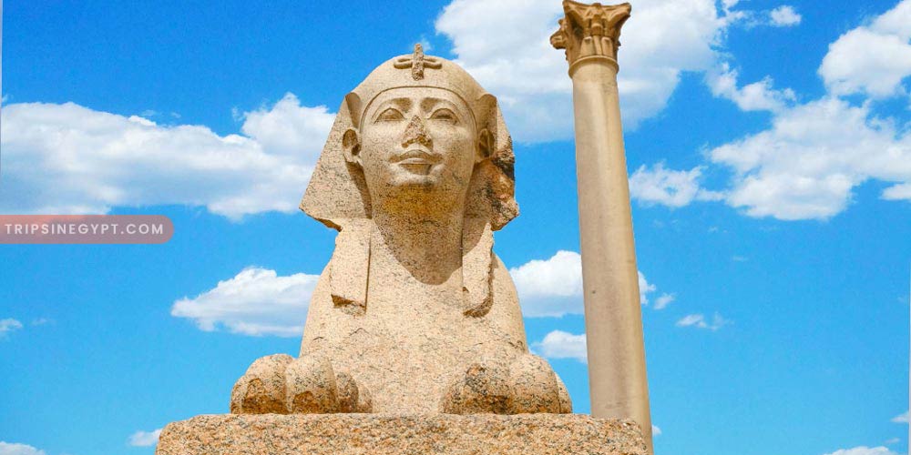 Pompey’s Pillar Gallery – Trips in Egypr