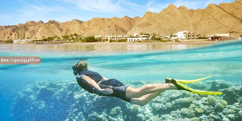 Red Sea - Reasons to Visit Egypt - Trips in Egypt