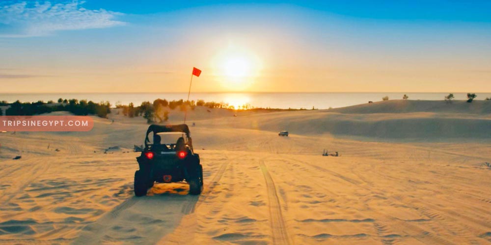 Safari Gallery – Trips in Egypt