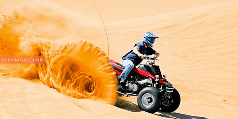 Safari Gallery – Trips in Egypt