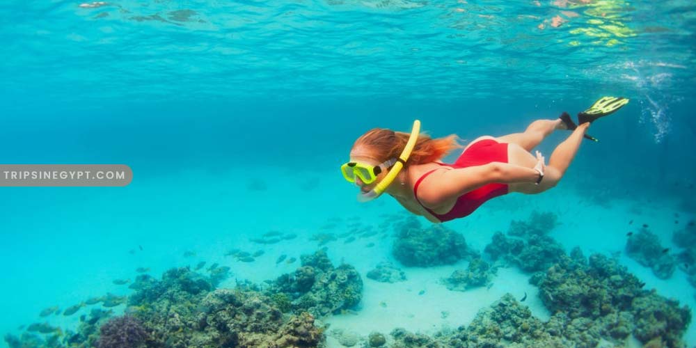 Snorkeling Gallery – Trips in Egypt