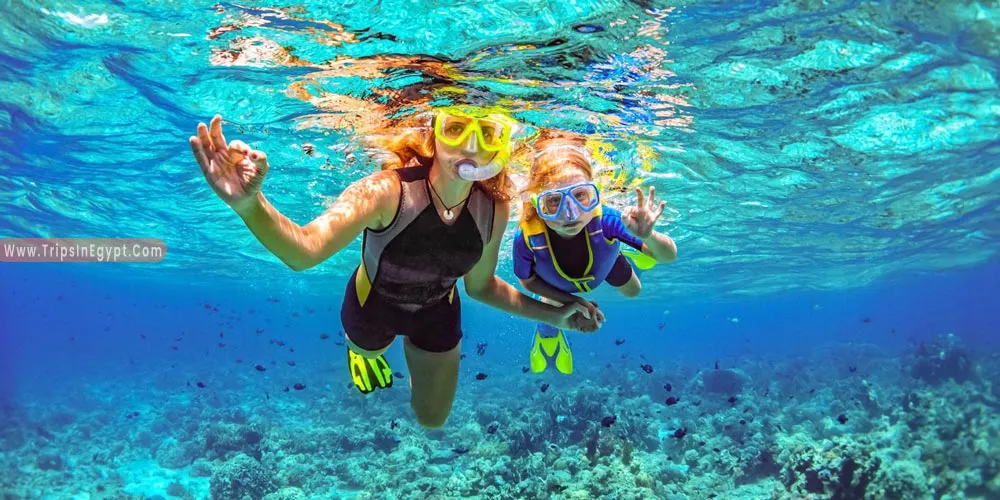 Snorkeling in Hurghada - Things to Do in Hurghada - Trips in Egypt