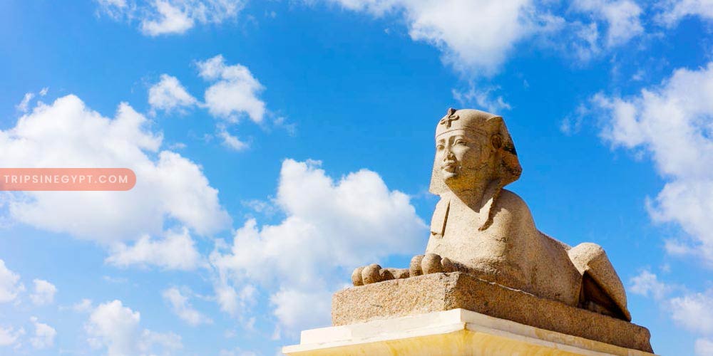 Pompey’s Pillar Gallery – Trips in Egypt