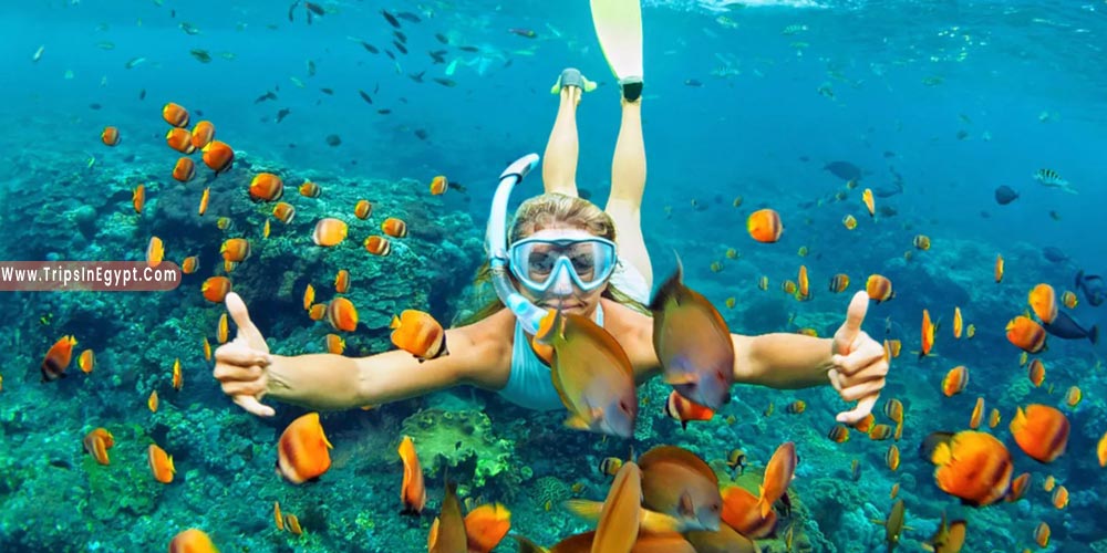 Things to Do in Makadi Bay - Trips in Egypt