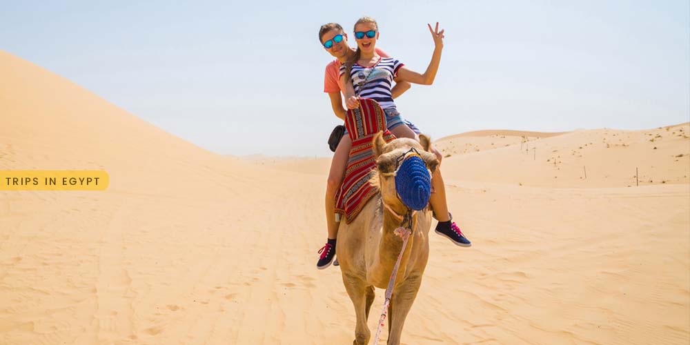 Camel Ride at Safaga Desert - Things to Do in Safaga - Trips in Egypt