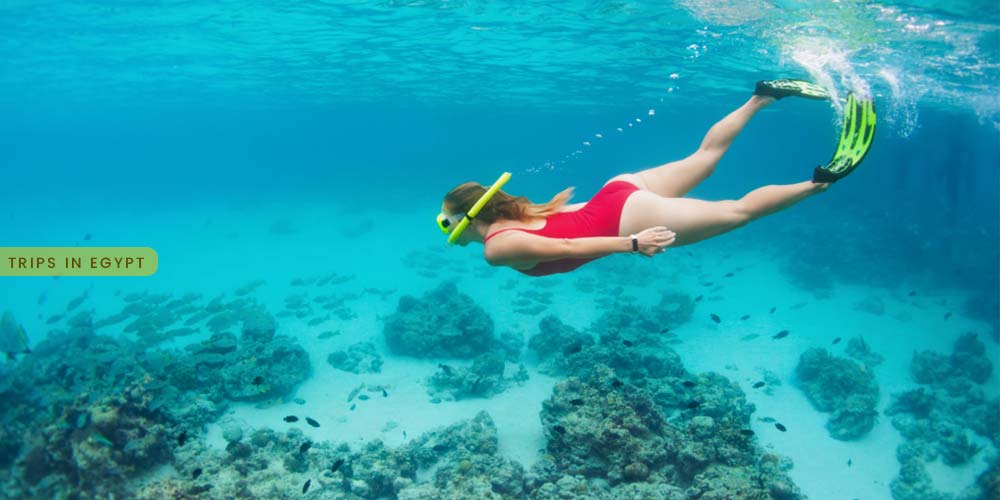 Snorkeling Tour in Safaga - Things to Do in Safaga - Trips in Egypt