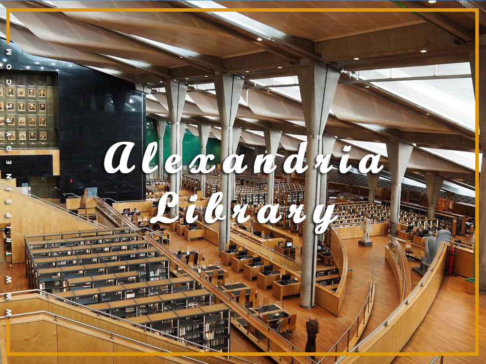 Alexandria Library - Activities to Do from El Gouna - Trips in Egypt