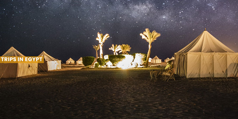 Astronomical Nights - Things to Do in Marsa Alam - Trips in Egypt