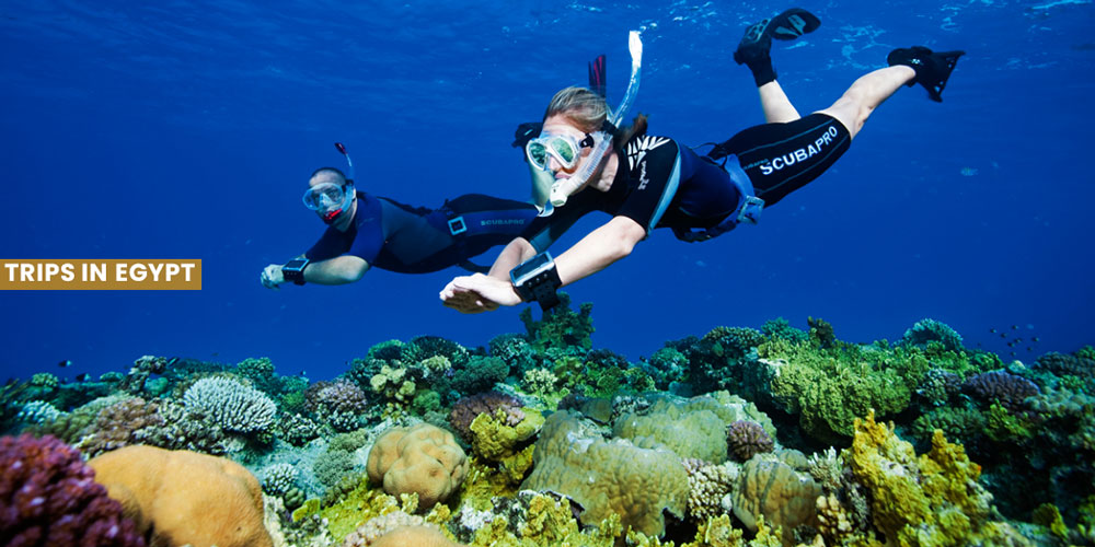 Diving - Things to Do in Marsa Alam - Trips in Egypt