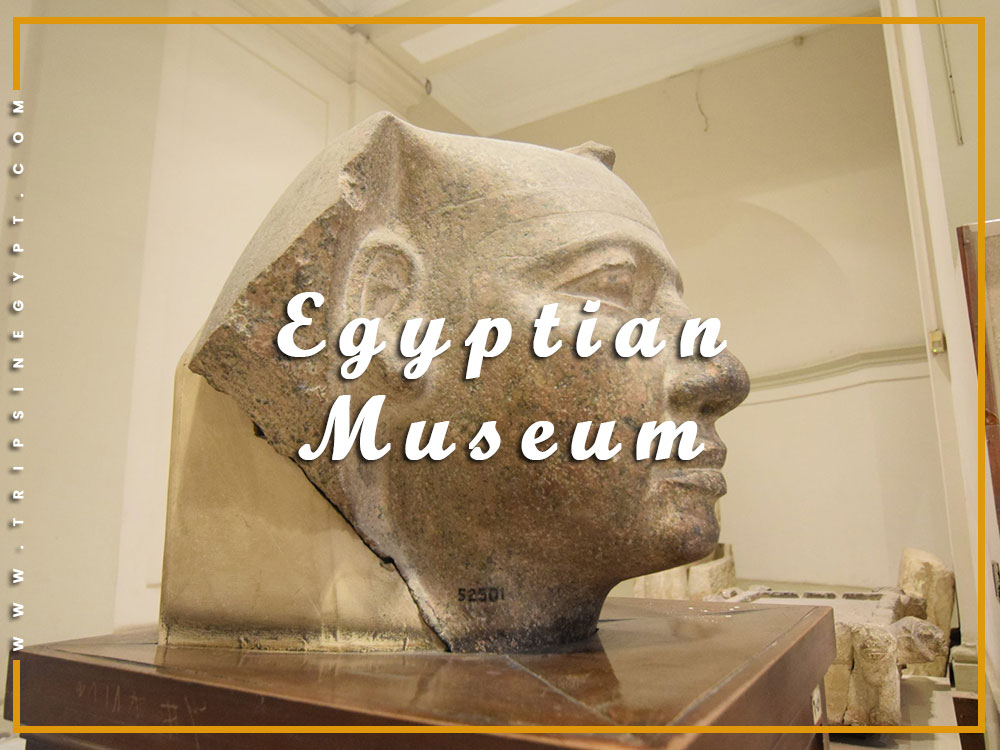 Egyptian Museum - Activities to Do from El Gouna - Trips in Egypt