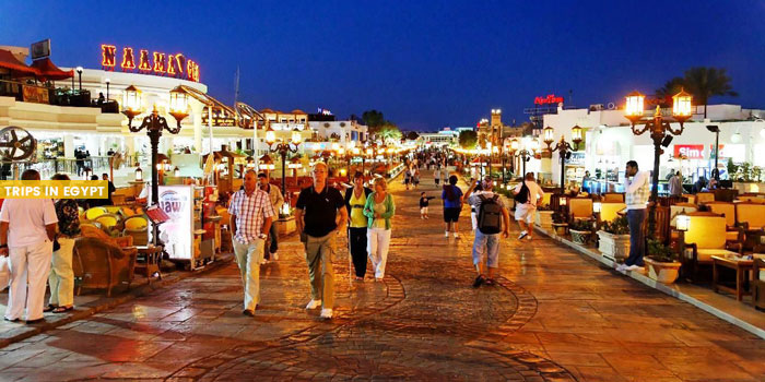 Nightlife - Things to Do in Sharm El Sheikh - Trips in Egypt
