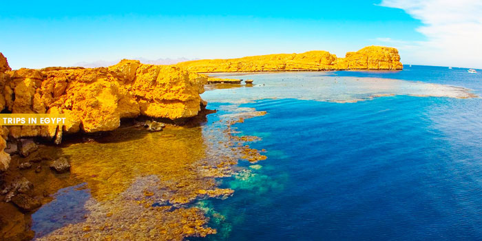 Ras Muhammad National Park - Things to Do in Sharm El Sheikh - Trips in Egypt