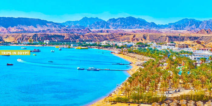 Ras Um Sid Beach - Things to Do in Sharm El Sheikh - Trips in Egypt