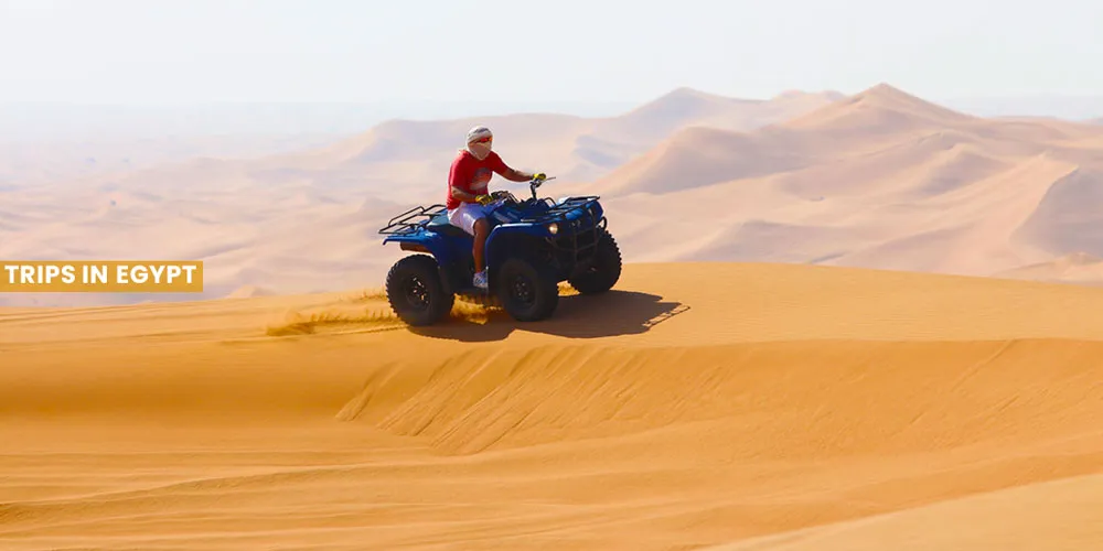 Safari Trip - Things to Do in Marsa Alam - Trips in Egypt